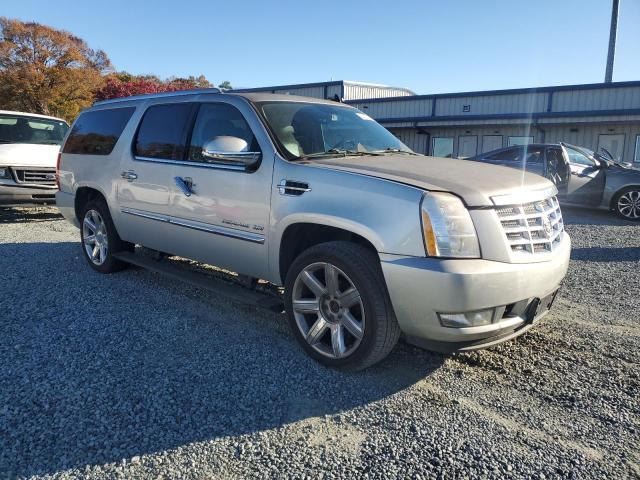 2010 CADILLAC ESCALADE E - 1GYUKJEF6AR225822