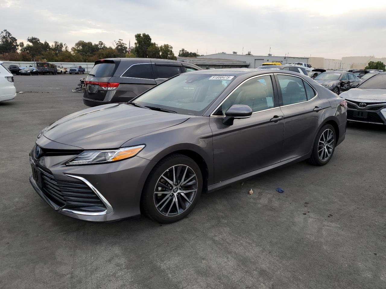 TOYOTA CAMRY XLE