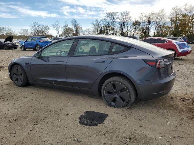2023 TESLA MODEL 3 #3292580864