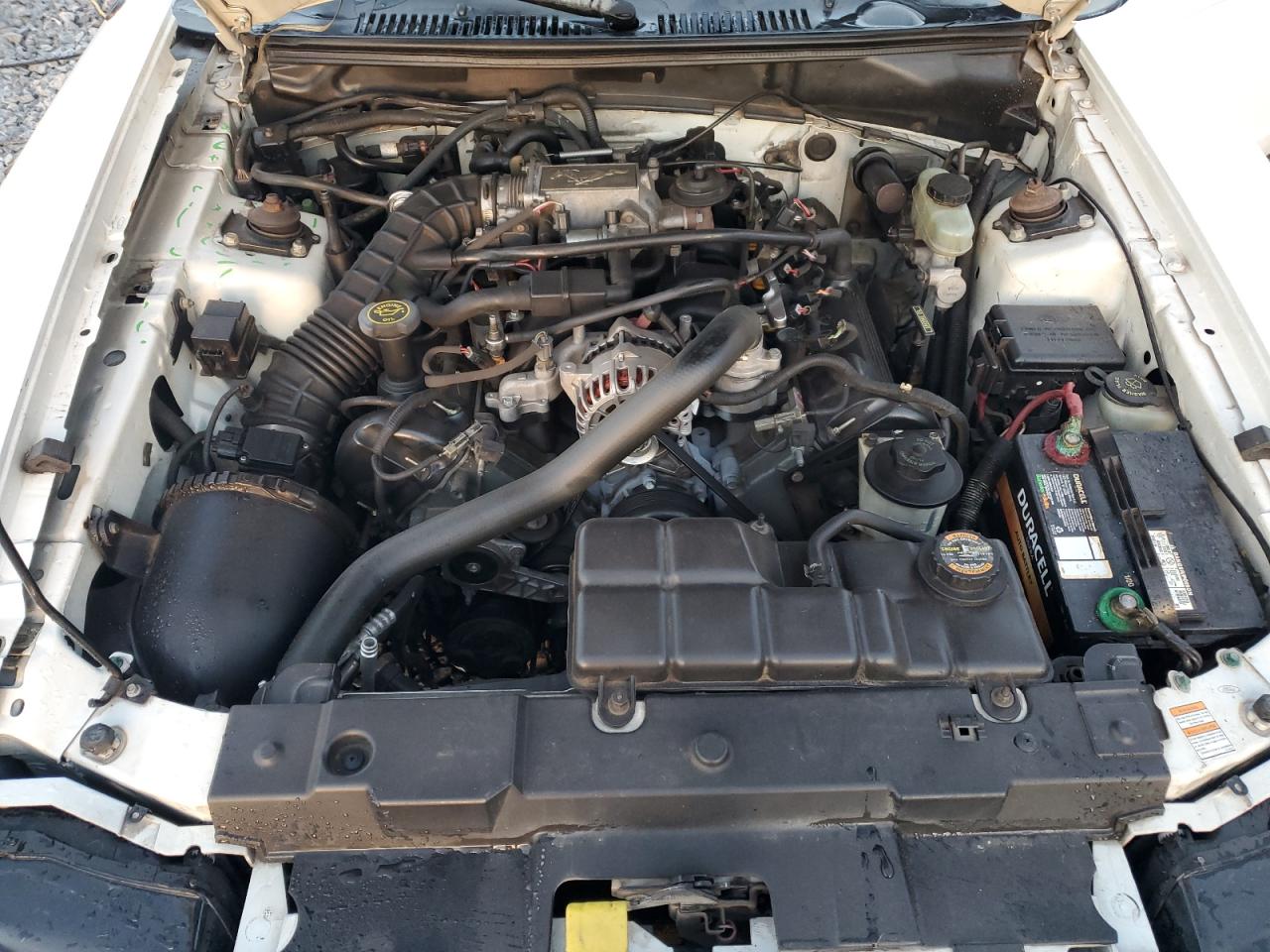 Lot #3287683020 1999 FORD MUSTANG GT