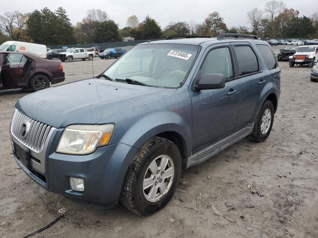 2010 MERCURY MARINER - 4M2CN9B72AKJ19441