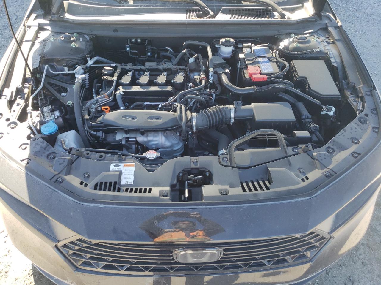 Lot #3301835331 2024 HONDA ACCORD LX