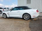 Lot #3292492698 2016 FORD MUSTANG