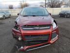 Lot #3303570959 2014 FORD ESCAPE SE