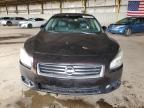 Lot #3293302499 2014 NISSAN MAXIMA S