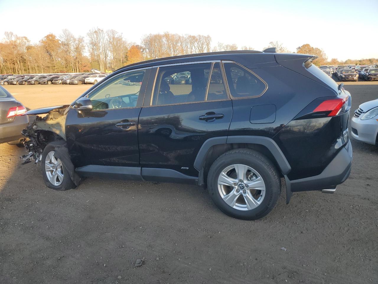 TOYOTA RAV4 XLE