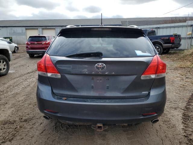 2010 TOYOTA VENZA #3287383987