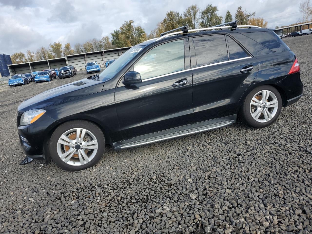 Lot #3309489561 2013 MERCEDES-BENZ ML 350 BLU