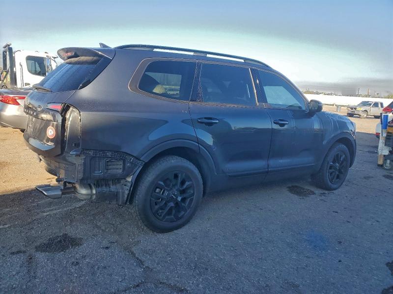 2024 KIA TELLURIDE #3304570453