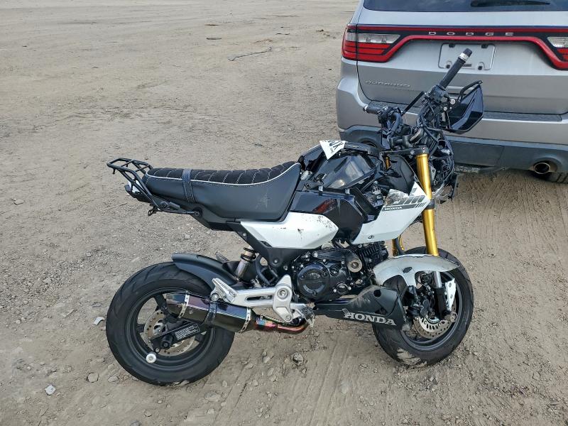 2026 HONDA GROM A #3310500071