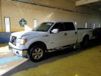 Lot #3305317310 2013 FORD F150 SUPER