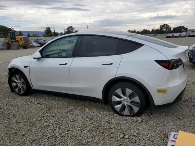 2022 TESLA MODEL Y #3318016503