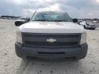 Lot #3294314874 2010 CHEVROLET SILVERADO