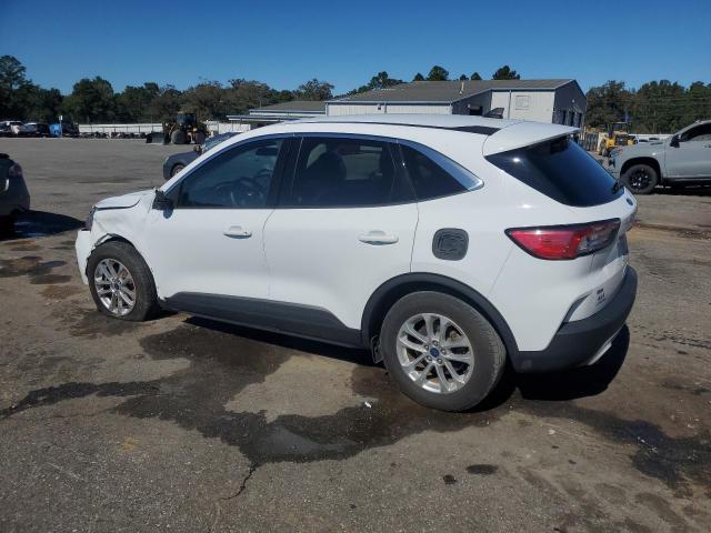 2022 FORD ESCAPE SE #3280469140