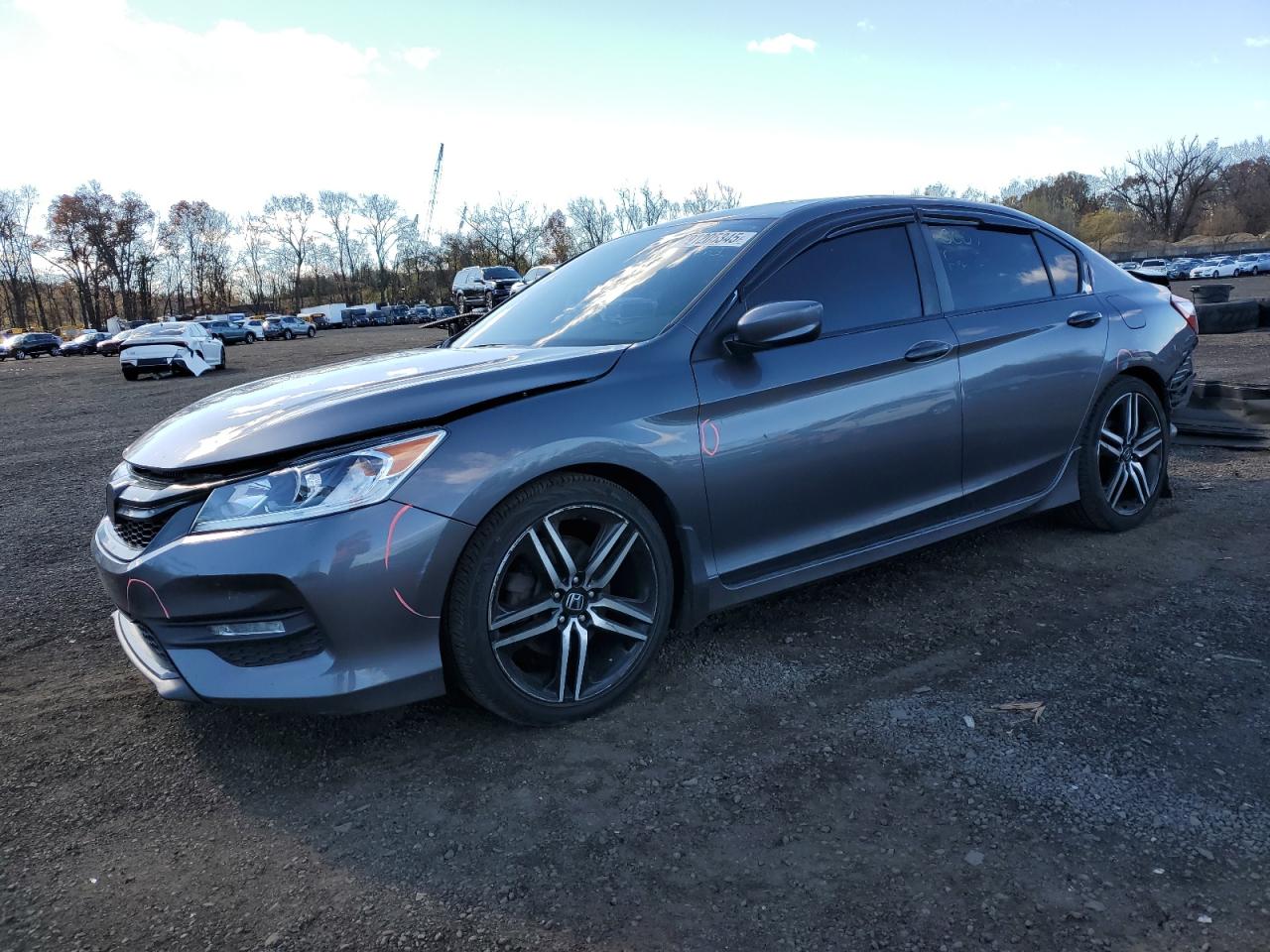 HONDA ACCORD SPORT SPECIAL EDITION