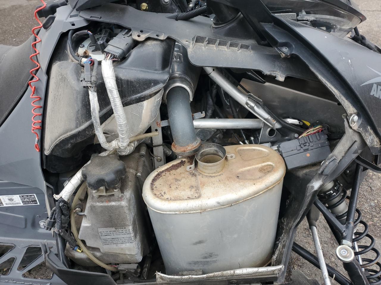 Lot #3299338827 2020 ARCTIC CAT WILDCAT