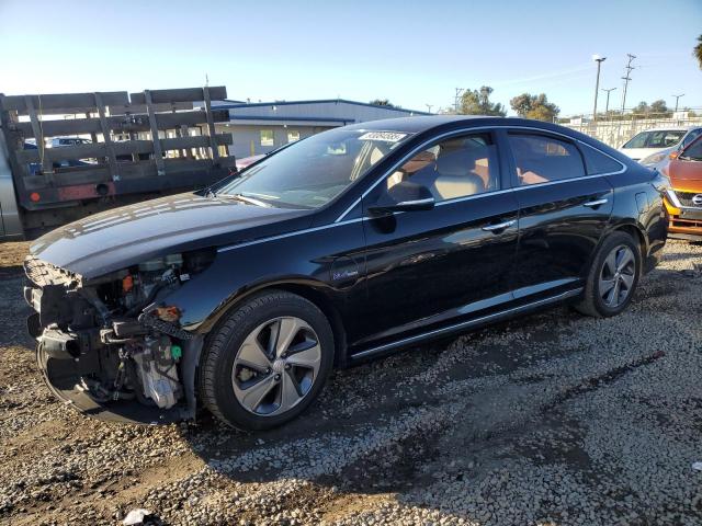 Global Auto Auctions: 2016 HYUNDAI SONATA PLU