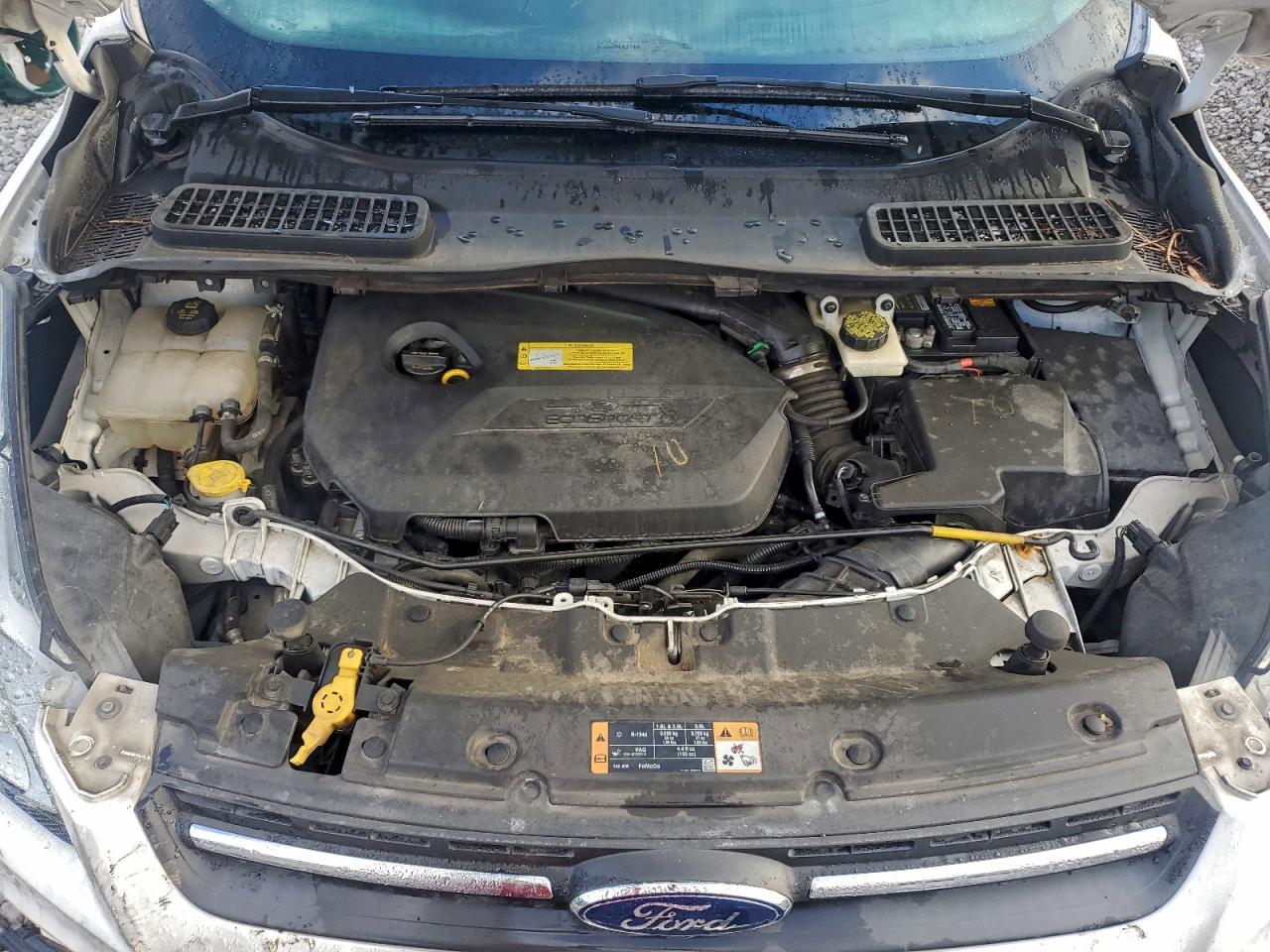 Lot #3302869935 2014 FORD ESCAPE SE