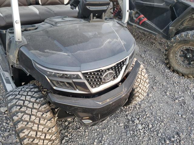 2025 EVOLUTION GOLF CART #3309423965