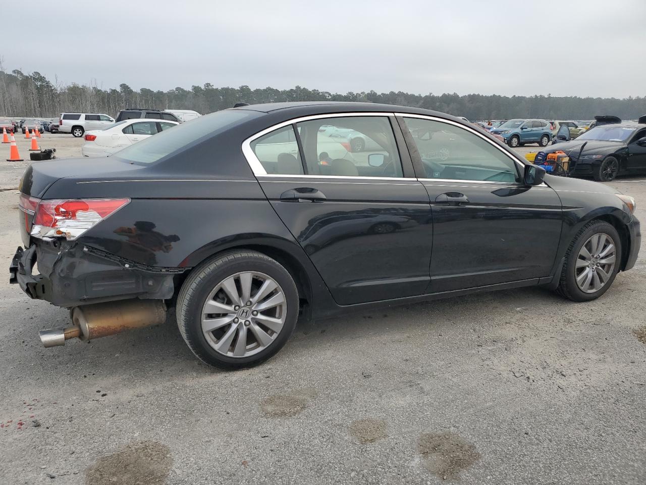 HONDA ACCORD EXL