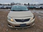 Lot #3302647175 2009 TOYOTA COROLLA BA