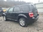 Lot #3304723935 2011 FORD ESCAPE XLT