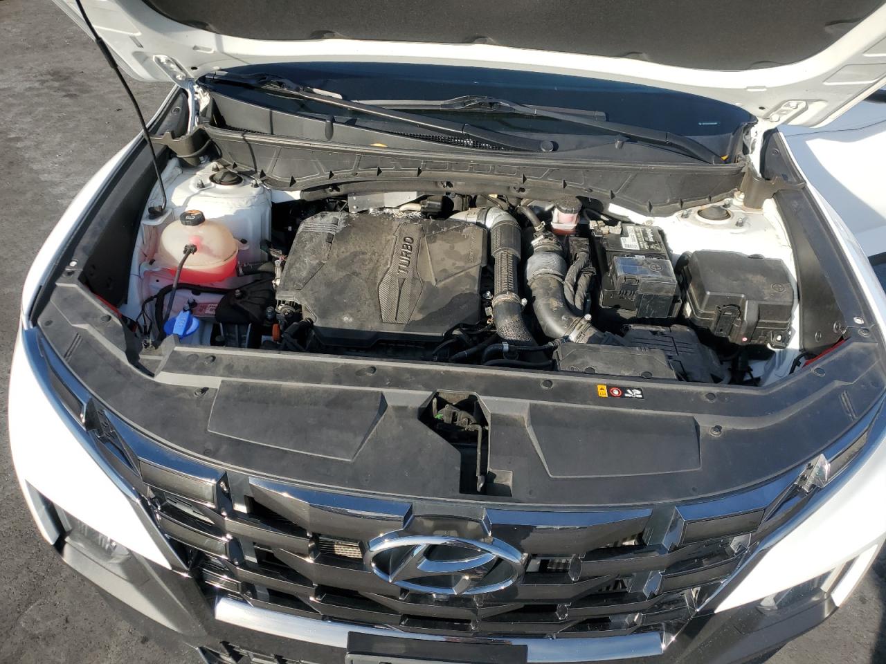 HYUNDAI SANTA CRUZ LIMITED