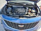 Lot #3308602571 2023 CADILLAC XT4 LUXURY