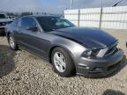 Lot #3303861796 2013 FORD MUSTANG