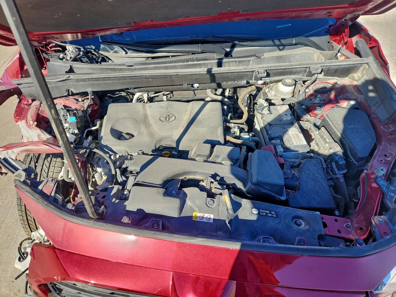 Lot #3303869705 2023 TOYOTA RAV4 XLE P