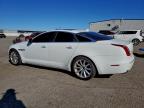 Lot #3304571436 2014 JAGUAR XJ