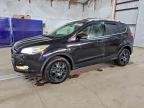 Lot #3312306772 2013 FORD ESCAPE TIT