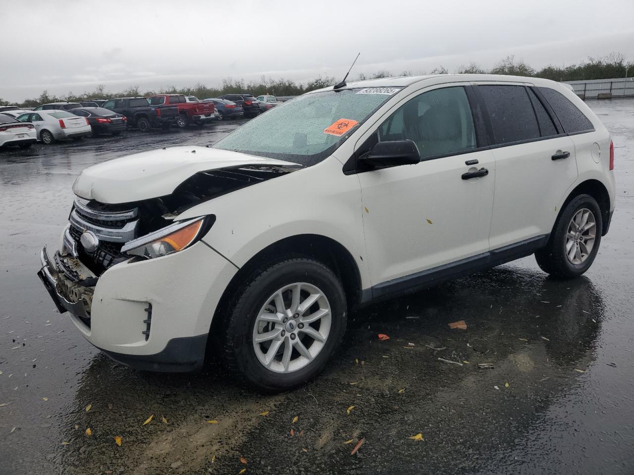 FORD EDGE SE