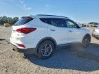 Lot #3303837532 2017 HYUNDAI SANTA FE S