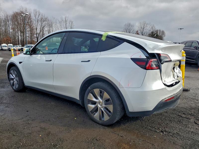 2023 TESLA MODEL Y #3308337053