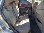 Lot #3303773436 2007 HONDA CR-V EX