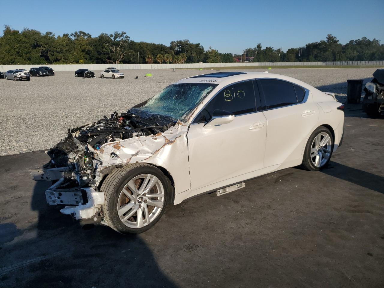 Lot #3302879924 2024 LEXUS IS 300