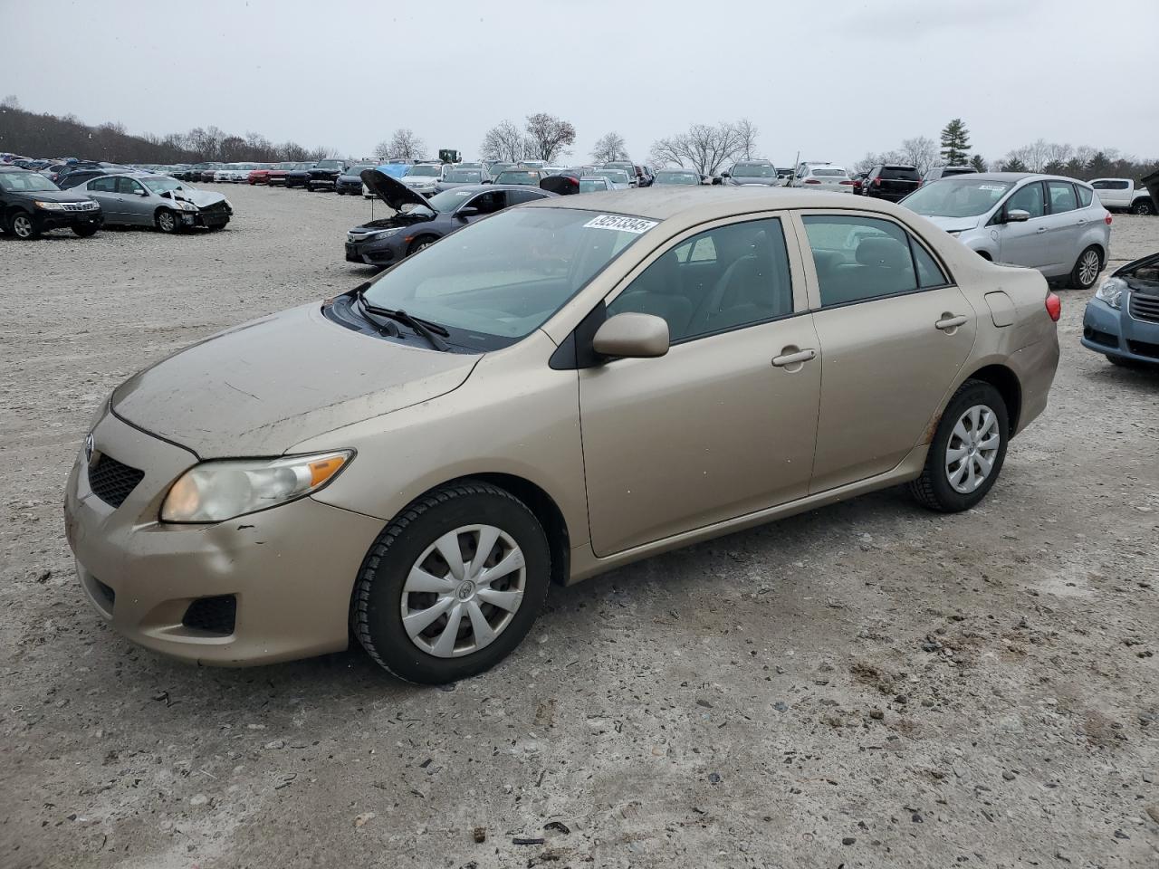 Lot #3317793135 2010 TOYOTA COROLLA BA