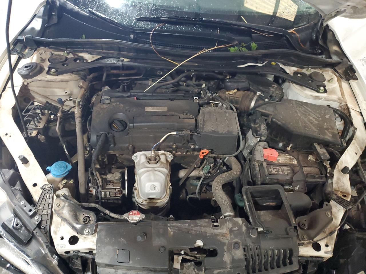 Lot #3302787893 2017 HONDA ACCORD EXL