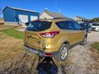 Lot #3301601639 2015 FORD ESCAPE SE