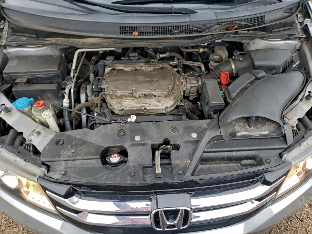 Lot #3302803969 2016 HONDA ODYSSEY SE