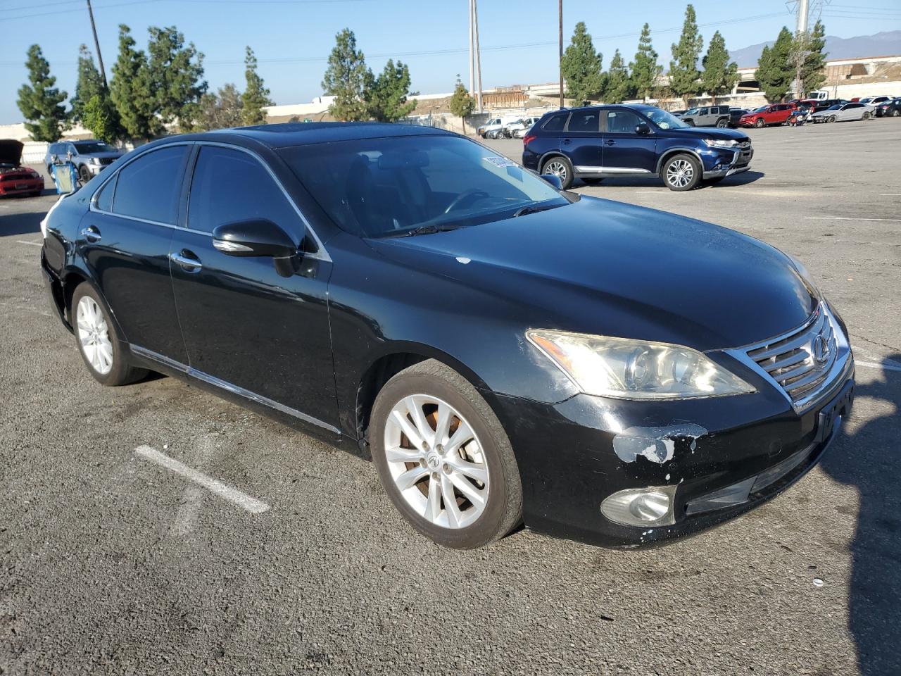 Lot #3308600519 2010 LEXUS ES 350