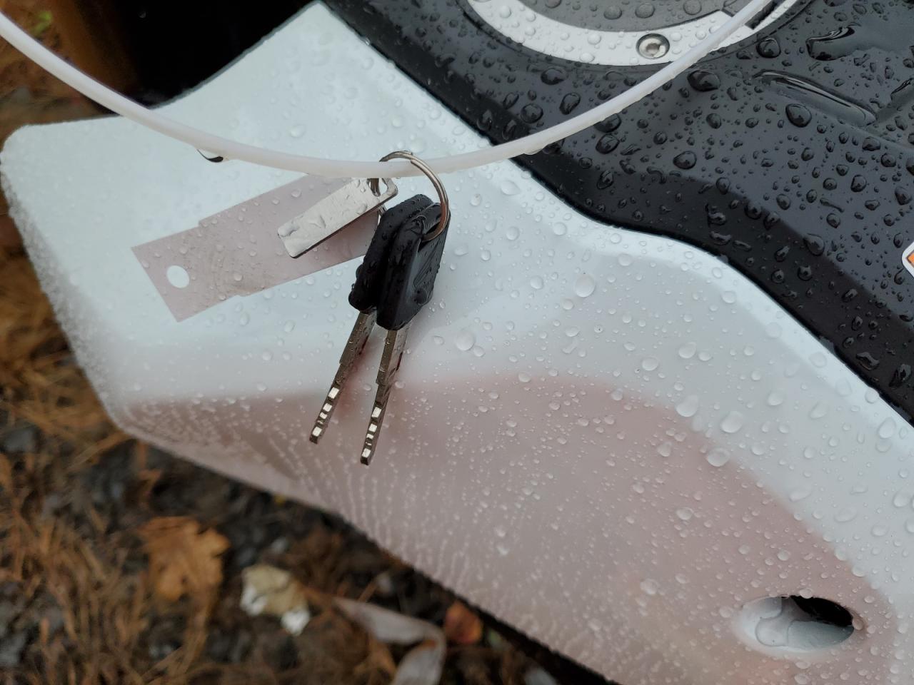 Lot #3304538454 2026 HONDA GROM 125