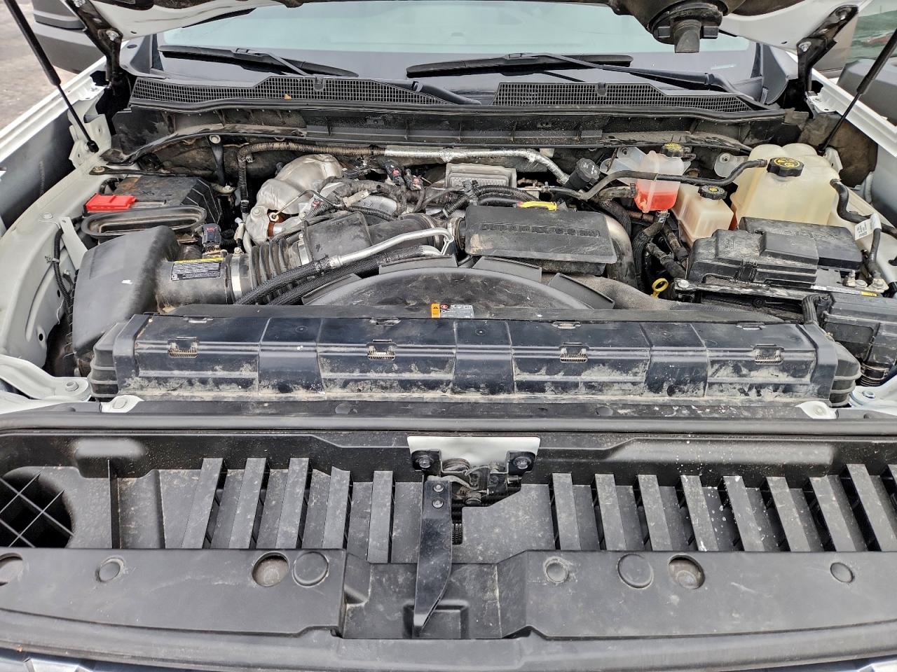 Lot #3301598630 2023 CHEVROLET SILVERADO