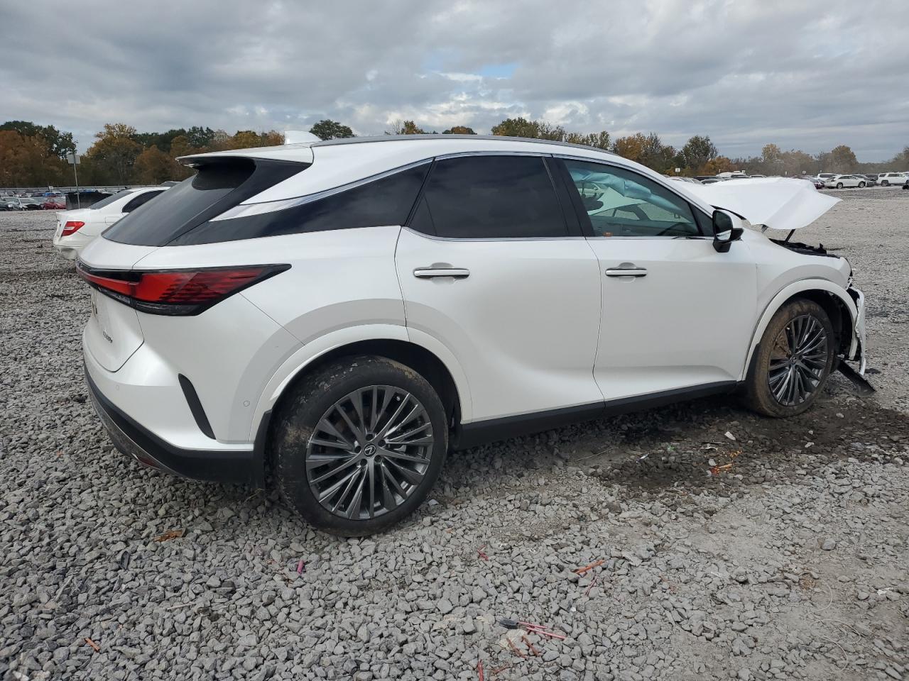 Lot #3301819383 2024 LEXUS RX 350 BAS