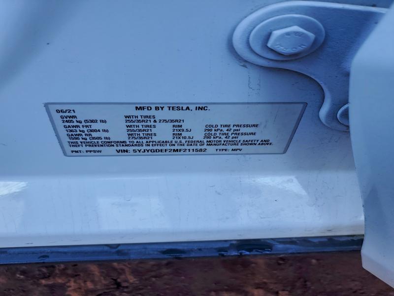 2021 TESLA MODEL Y #3301716445