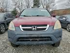 Lot #3294272886 2004 HONDA CR-V EX
