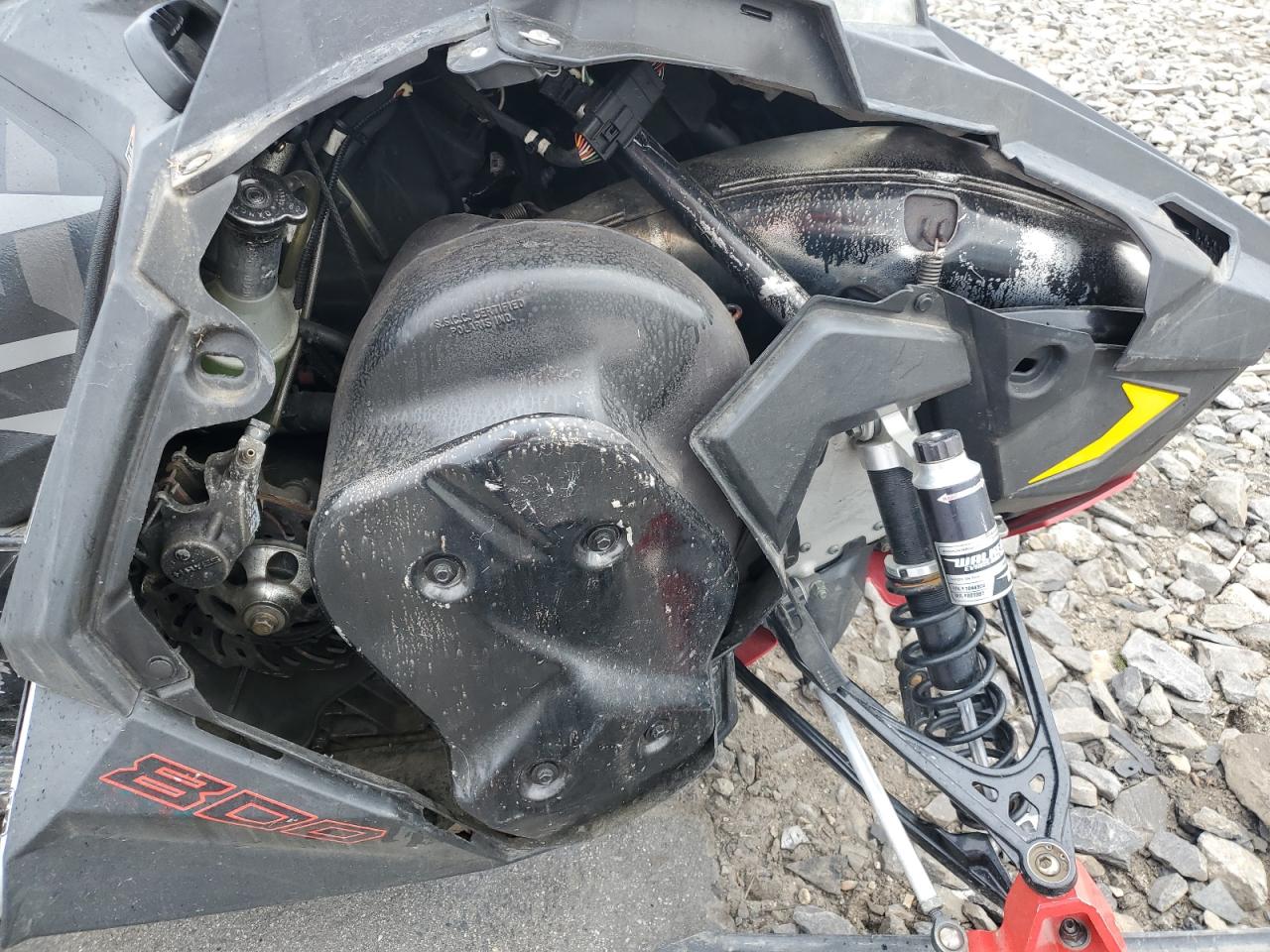 Lot #3308348047 2020 POLA 800 CL