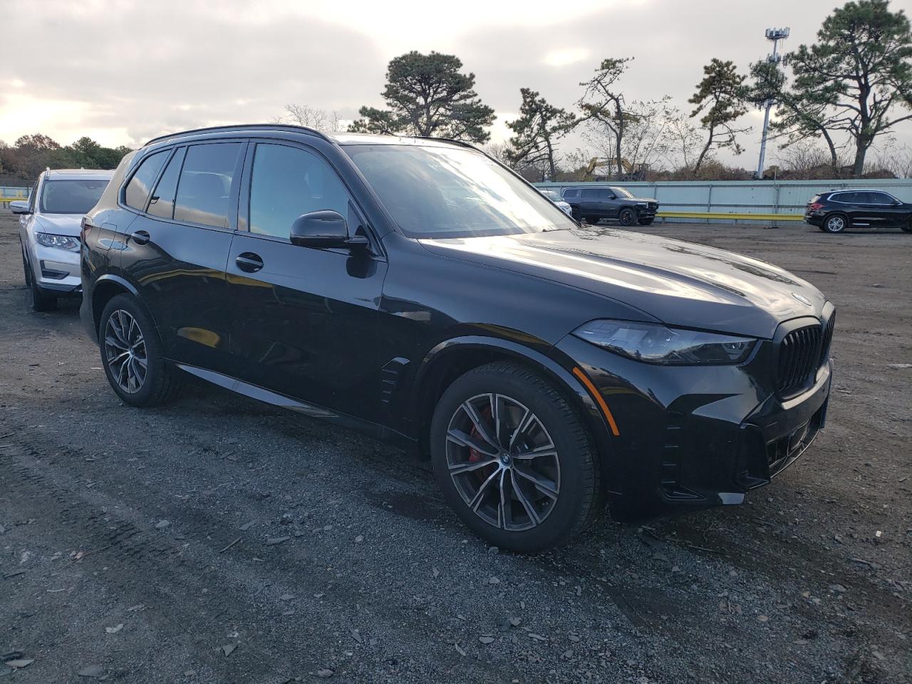 BMW X5 XDRIVE50E