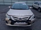Lot #3316877162 2011 TOYOTA COROLLA BA